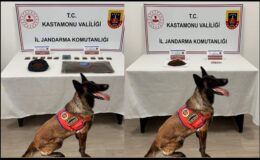 Kastamonu’da Uyuşturucu Operasyonu