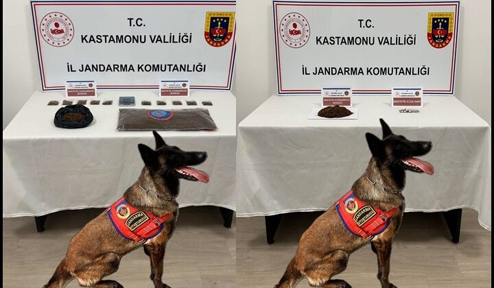 Kastamonu’da Uyuşturucu Operasyonu