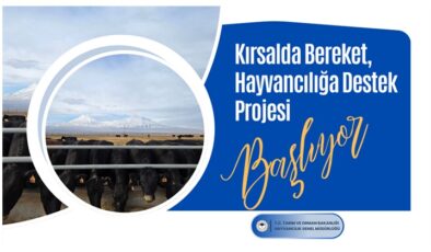 Bakanlık; Kırsalda Bereket, Hayvancılığa Destek Projesi İle Kırsal Kesimi Güçlendiriyor