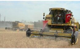 Tarım Orman Bakanı İbrahim Yumaklı Batman’da Buğday Hasadına Katıldı