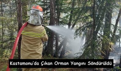 Kastamonu’da Çıkan Orman Yangını Söndürüldü