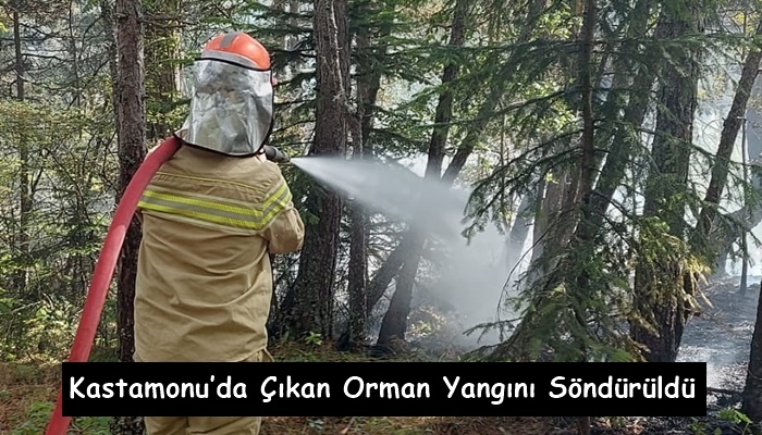 Kastamonu’da Çıkan Orman Yangını Söndürüldü