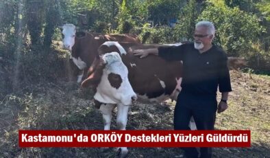 Kastamonu’da ORKÖY Destekleri Yüzleri Güldürdü