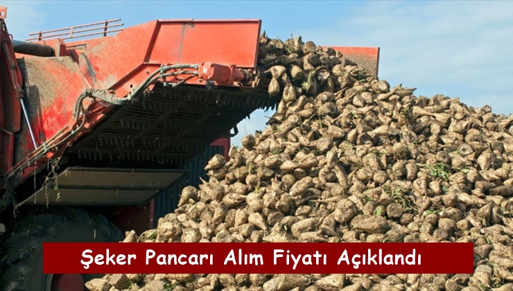 Şeker Pancarı Alım Fiyatı Açıklandı