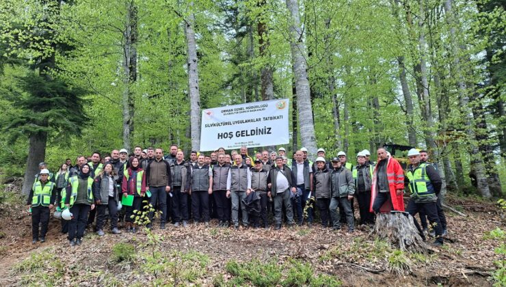 Bolu Orman Bölge Müdürlüğü’nden Geniş Katılımlı “Silvikültür” Eğitimi