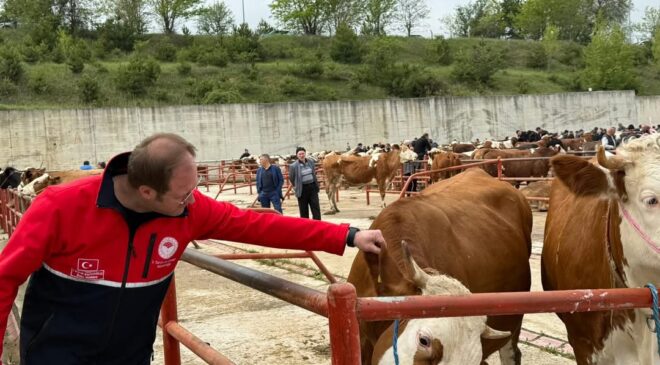 Kastamonu’da Kurban Bayramı Öncesi Canlı Hayvan Pazarında Denetimler Sürüyor