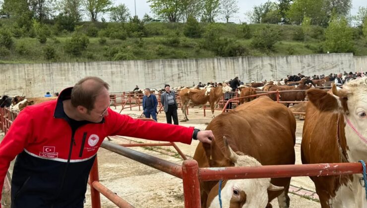 Kastamonu’da Kurban Bayramı Öncesi Canlı Hayvan Pazarında Denetimler Sürüyor