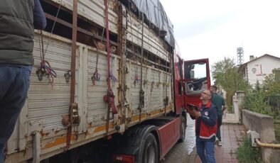 Kastamonu’da Kurbanlık Taşıyan Araçlar Tek Tek Durduruluyor