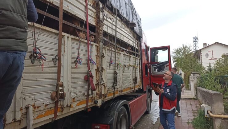 Kastamonu’da Kurbanlık Taşıyan Araçlar Tek Tek Durduruluyor