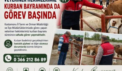 Kastamonu’da Kurban Mesaisi: Veteriner Hekimler Bayram Boyunca 7/24 Görev Başında!