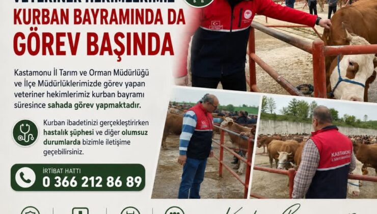 Kastamonu’da Kurban Mesaisi: Veteriner Hekimler Bayram Boyunca 7/24 Görev Başında!