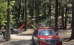 Orman Bölge Müdürlüğü’nden Kritik “Mangal ve Piknik Ateşi” Uyarısı