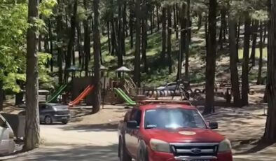 Orman Bölge Müdürlüğü’nden Kritik “Mangal ve Piknik Ateşi” Uyarısı