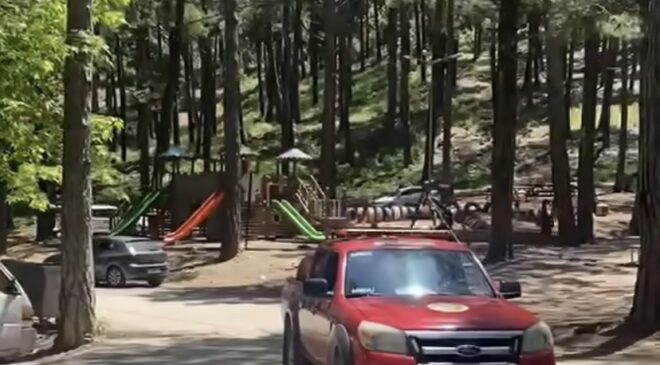 Orman Bölge Müdürlüğü’nden Kritik “Mangal ve Piknik Ateşi” Uyarısı