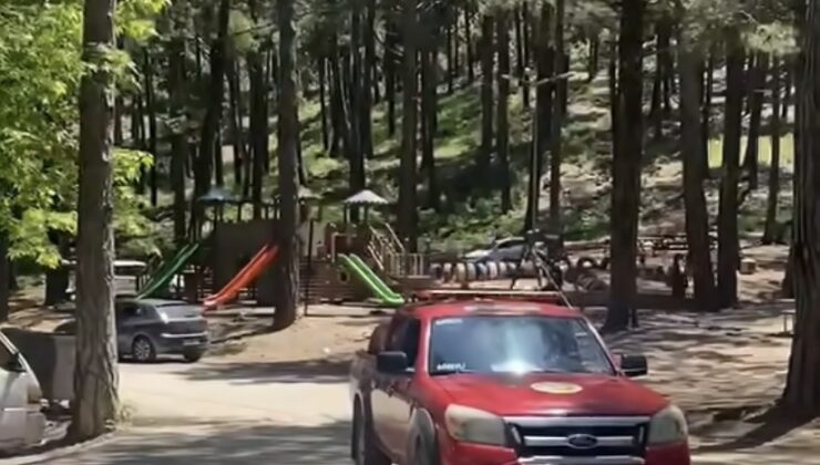 Orman Bölge Müdürlüğü’nden Kritik “Mangal ve Piknik Ateşi” Uyarısı
