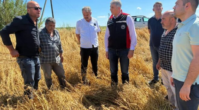 Adana’da Tarım Arazileri Afette Büyük Zarar Gördü