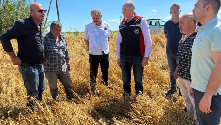 Adana’da Tarım Arazileri Afette Büyük Zarar Gördü