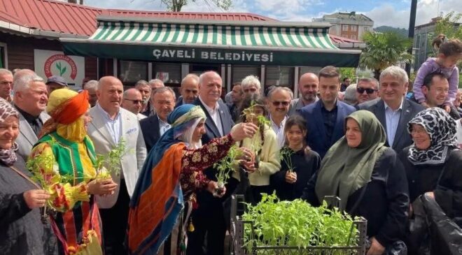 Çayeli’nde 20 Bin Ücretsiz Fide Dağıtıldı
