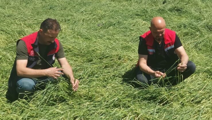 10 Köyde Hasar Tespit Çalışmaları Başladı