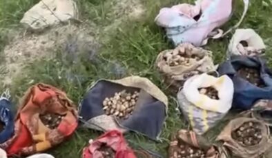 Dağlardan Topladıkları Şey Hayatlarını Kararttı: 10 Kişiye 7 Milyon TL Ceza!