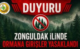 Zonguldak’ta Ormanlara Giriş Yasaklandı!