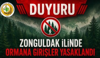 Zonguldak’ta Ormanlara Giriş Yasaklandı!