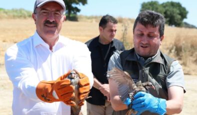 Çanakkale’de Kınalı Keklikler Doğal Yaşam Alanıyla Buluştu!