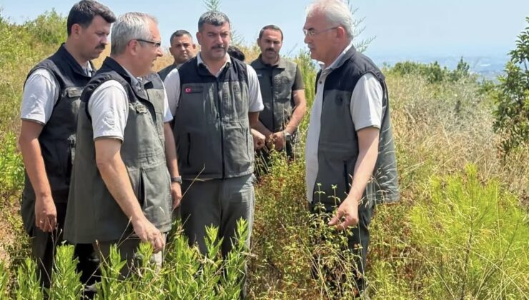 Büyük Felaketin Yaşandığı Yere Gitti!