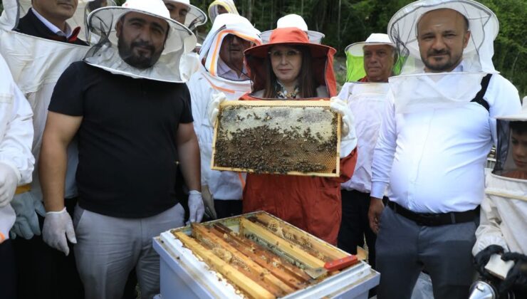 Vali Dr. Nurtaç Arslan Kirsinler Köyünde Kestane Balı Hasadını Başlattı