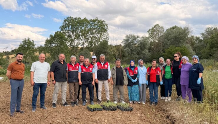 Kastamonu Toprakları Kekik ve Adaçayı Kokacak!