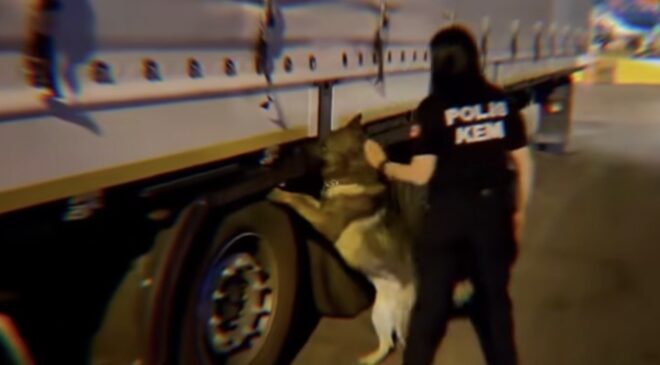 73 İlde Uyuşturucu Operasyonu, 935 Zehir Taciri Tutuklandı!