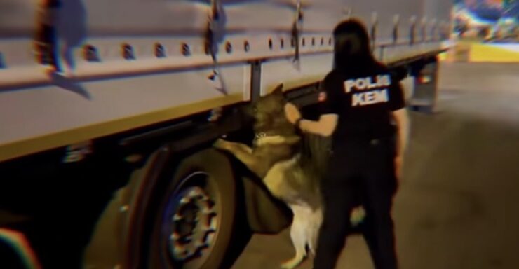 73 İlde Uyuşturucu Operasyonu, 935 Zehir Taciri Tutuklandı!