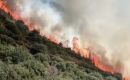 Ekipler Havadan ve Karadan Alevlerin Önünü Kesti