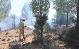 Antalya Kepez’de Korkutan Orman Yangını!