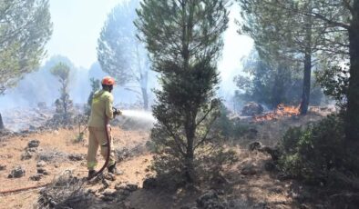 Antalya Kepez’de Korkutan Orman Yangını!