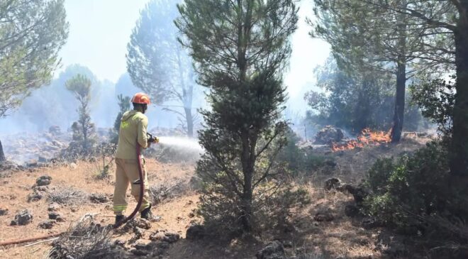 Antalya Kepez’de Korkutan Orman Yangını!