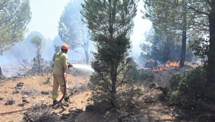 Antalya Kepez’de Korkutan Orman Yangını!