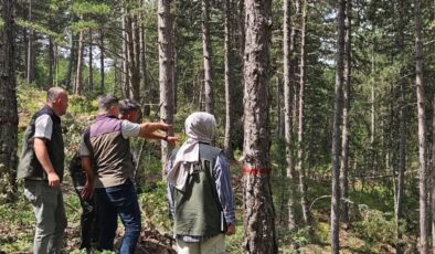 Kastamonu Daday’da Geleceğin Ormanları İçin Kritik İnceleme