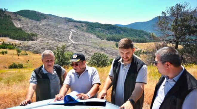 Sındırgı’da Yanan Sahada Umut Yeşerdi: 52 Bin Fidan İçin Tarih Verildi!