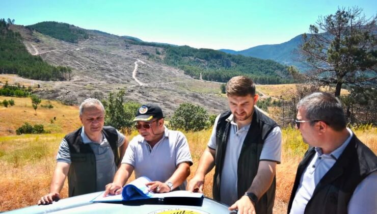 Sındırgı’da Yanan Sahada Umut Yeşerdi: 52 Bin Fidan İçin Tarih Verildi!